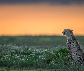 开云体育平台APP-拉什福德爆发，法国强行终结克罗地亚，一场新旧势力的激烈碰撞