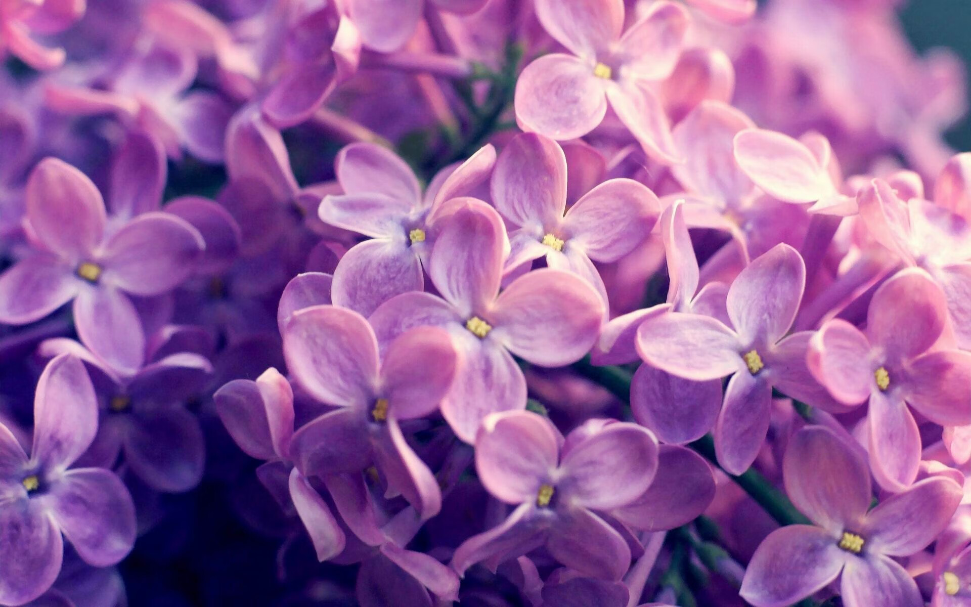 跨界传奇，塞维利亚的绿茵魔法与皮克的抢七神迹