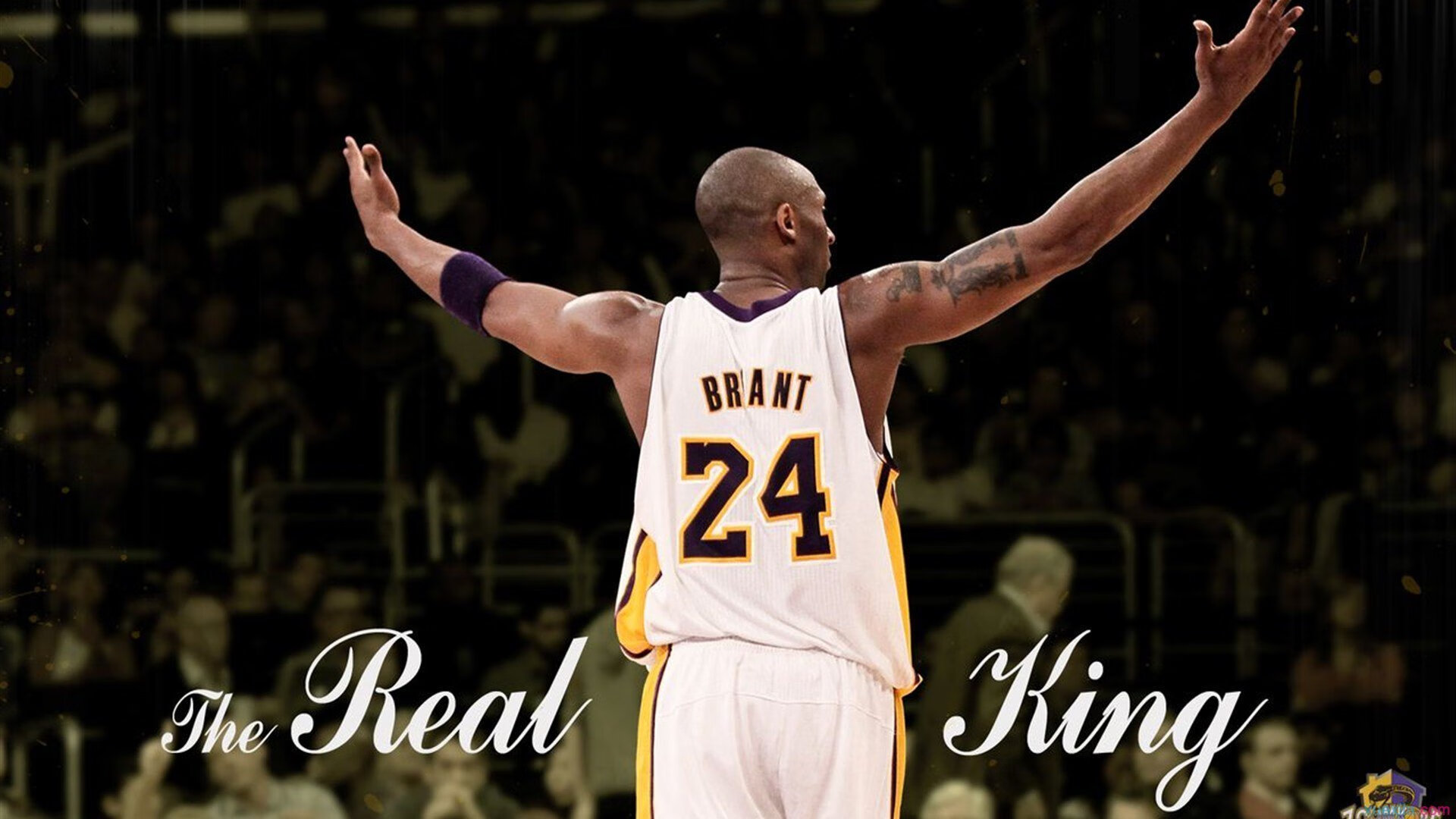 武切维奇主宰比赛走向，开拓者防守锁死猛龙